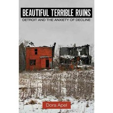 Beautiful Terrible Ruins: Detroit and the Anxiety of Decline, Rutgers Univ Pr