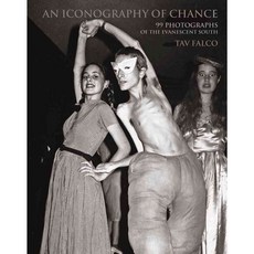 An Iconography of Chance: 99 Photographs of the Evanescent South, Elsinore Pr