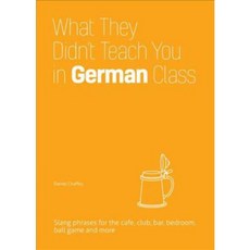 What They Didn't Teach You in German Class: Slang Phrases for the Cafe Club Bar Bedroom Ball Game and More, Ulysses Pr