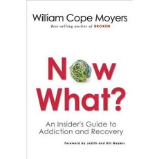 Now What?: An Insider's Guide to Addiction and Recovery, Hazelden
