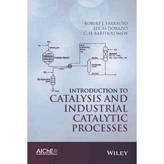 Introduction to Catalysis and Industrial Catalytic Processes, Amer Inst of Chemical Engineers