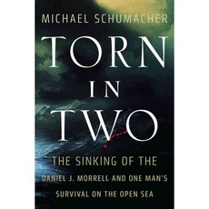 Torn in Two: The Sinking of the Daniel J. Morrell and One Man's Survival on the Open Sea, Univ of Minnesota Pr