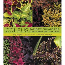 Coleus: Rainbow Foliage for Containers and Gardens, Timber Pr