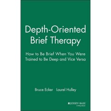 Depth-Oriented Brief Therapy: How to Be Brief When You Were Trained to Be Deep-And Vice Versa, Jossey-Bass Inc Pub