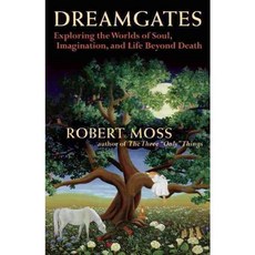 Dreamgates: Exploring the Worlds of Soul Imagination and Life Beyond Death, New World Library