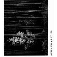 Ansel Adams at 100