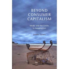 Beyond Consumer Capitalism: Media and the Limits to Imagination, Polity Pr