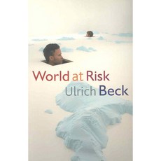 World at Risk, Polity Pr
