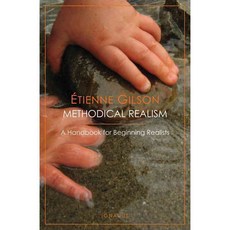 Methodical Realism: A Handbook for Beginning Realists, Ignatius Pr