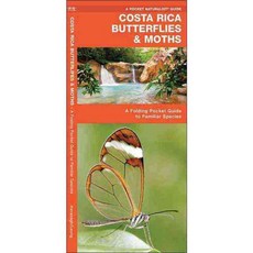 哥斯達黎加蝴蝶和蛾：熟悉物種簡介, 沃特福德公關