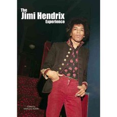 The Jimi Hendrix Experience, Titan Books
