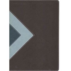 Illustrated Study Bible: New Living Translation Teal & Chocolate Edition, Tyndale House Pub