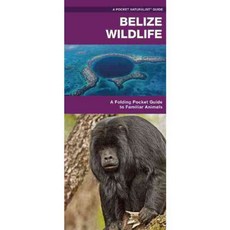 Belize Wildlife: A Folding Pocket Guide to Familiar Animals, Waterford Pr
