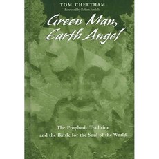 綠人地球天使：預言傳統與世界靈魂之戰, 紐約州立大學教授