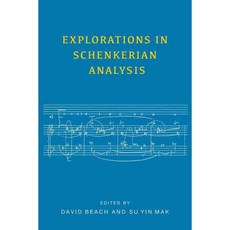 Explorations in Schenkerian Analysis, Univ of Rochester Pr