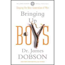 Bringing Up Boys: Shaping the Next Generation of Men, Tyndale Momentum