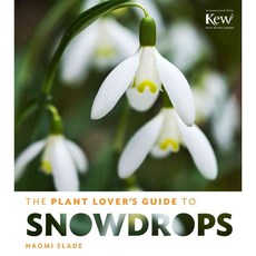 The Plant Lover’s Guide to Snowdrops, Timber Pr