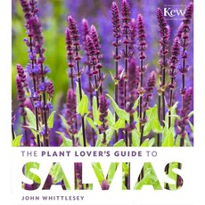 The Plant Lover's Guide to Salvias, Timber Pr