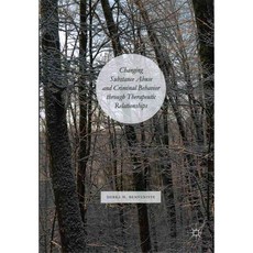 Changing Substance Abuse and Criminal Behavior Through Therapeutic Relationships, Palgrave Pivot