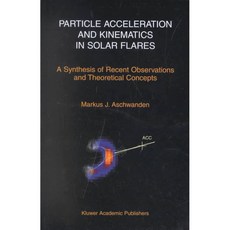 太陽耀斑中的粒子加速和運動學：近期觀測和理論概念的綜合, 克魯爾學術酒吧