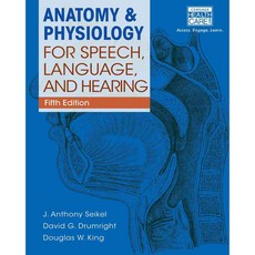 言語、語言和聽力的解剖學和生理學, 德爾瑪酒吧