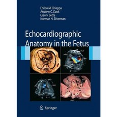 Echocardiographic Anatomy in the Fetus, Springer Verlag