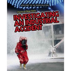 Chemical Reactions: Investigating an Industrial Accident, Heinemann/Raintree