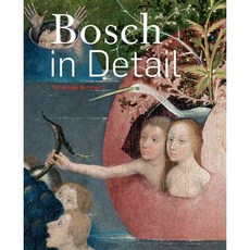 Bosch in Detail, Harry N Abrams Inc