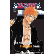 Bleach SOULs: Official Character Book, Viz