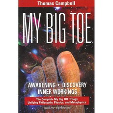 My Big Toe: A Trilogy Unifying Philosophy Physics and Metaphysics: Awakening Discovery Inner Workings, Lightning Strike Books