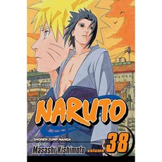 Naruto 38: Practice Makes Perfect, Viz