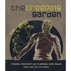 The Creeping Garden: Irrational Encounters With Plasmodial Slime Moulds, Alchimia