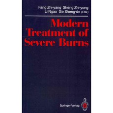 Modern Treatment of Severe Burns, Springer Verlag