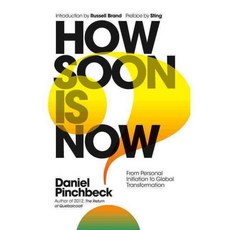 How Soon Is Now?: From Personal Initiation to Global Transformation, Watkins Pub Ltd