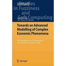 Towards an Advanced Modelling of Complex Economic Phenomena, Springer-Verlag New York Inc
