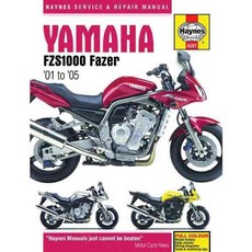 雅馬哈 FZS1000 Fazer '01 至 '05, 海恩斯酒吧