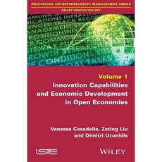 Innovation Capabilities and Economic Development in Open Economies, Iste/Hermes Science Pub