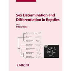 Sex Determination and Differentiation in Reptiles, S Karger Ag