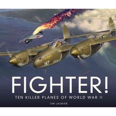 Fighter!: Ten Killer Planes of World War II, Voyageur Pr