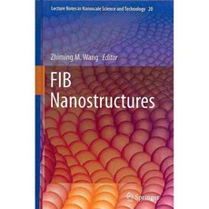 FIB奈米結構, 施普林格出版社