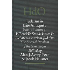 Where We Stand: The Special Problem of the Synagogue, Brill Academic Pub