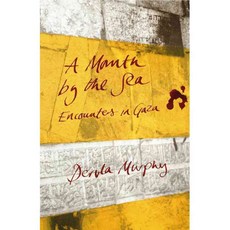 海邊一個月：加薩的邂逅, 伊蘭酒吧有限公司