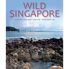 狂野新加坡, 約翰·博福伊酒吧