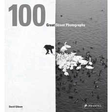 100 Great Street Photographs, Prestel Pub