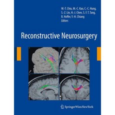 Reconstructive Neurosurgery, Springer Verlag
