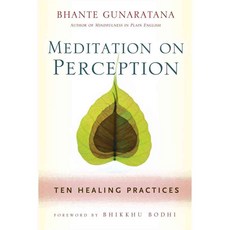 Meditation on Perception: Ten Healing Practices to Cultivate Mindfulness, Wisdom Pubns