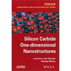 Silicon Carbide One-dimensional Nanostructures, Iste/Hermes Science Pub
