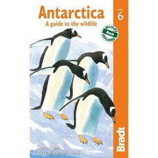 南極：野生動物指南, 布拉特·普布斯