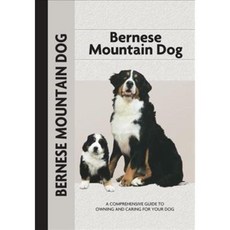 Bernese Mountain Dog, Lumina Media