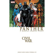 Civil War: Black Panther, Marvel Enterprises
